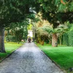 Tutti i parchi di Roma da visitare nel proprio tour